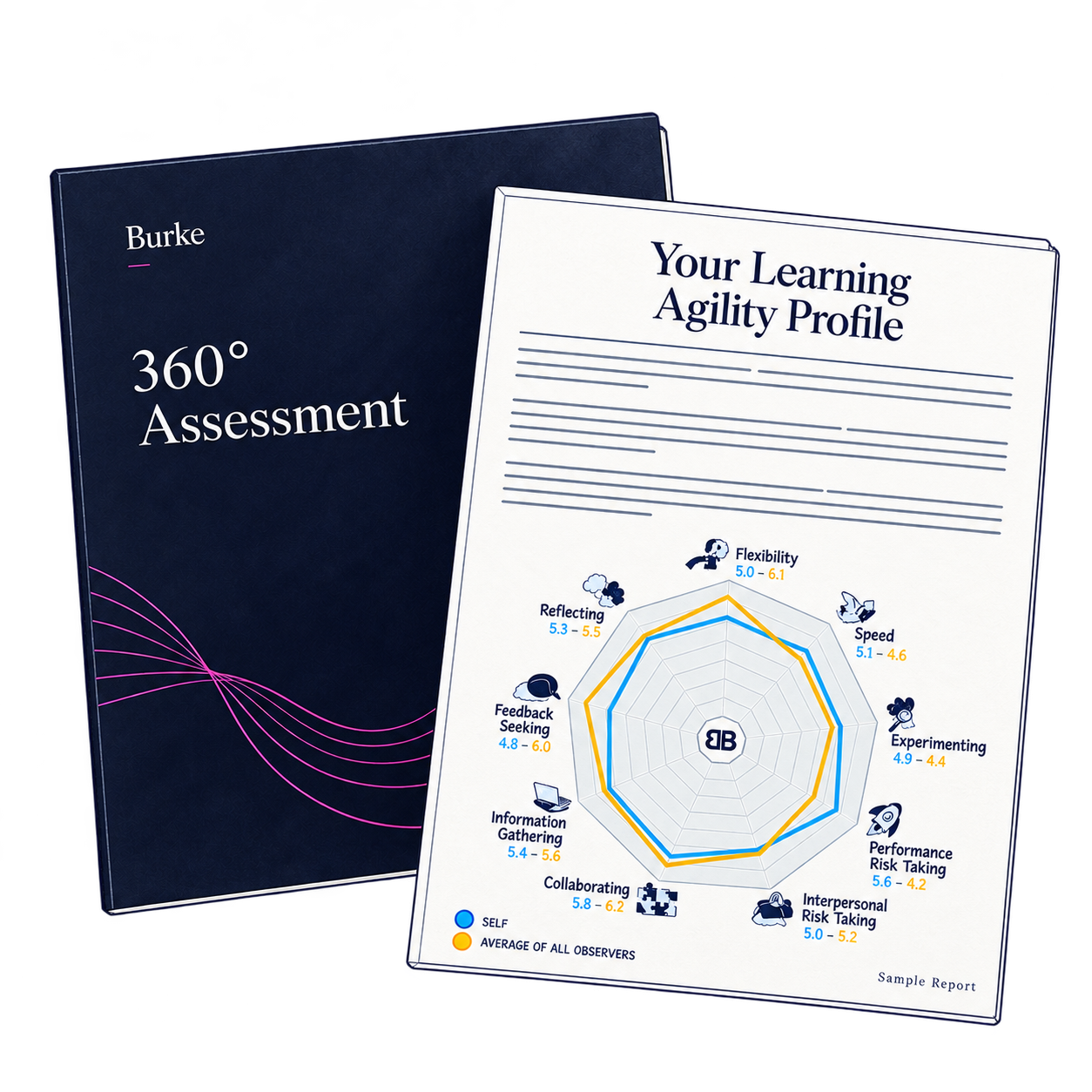 Illustrated 360 assessment sample profile