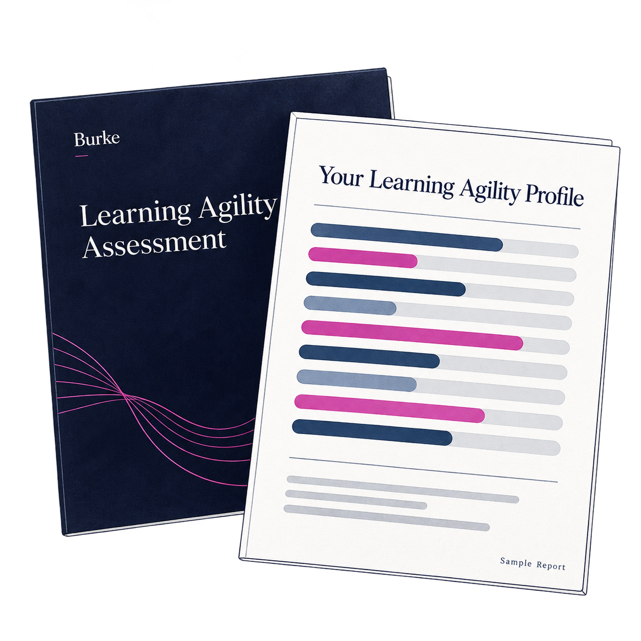 Illustration of a Burke Learning Agility assessment report and sample profile