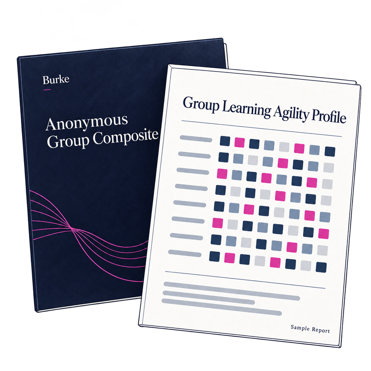 Illustrated anonymous group composite sample report